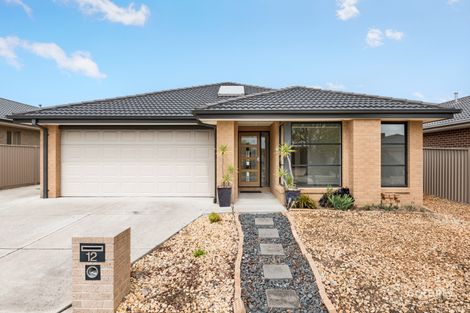 Property photo of 12 Carbine Drive Alfredton VIC 3350