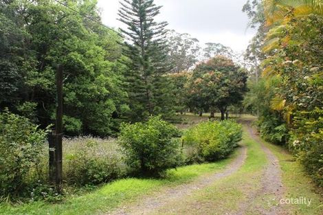 Property photo of 19 Bella Street Landsborough QLD 4550