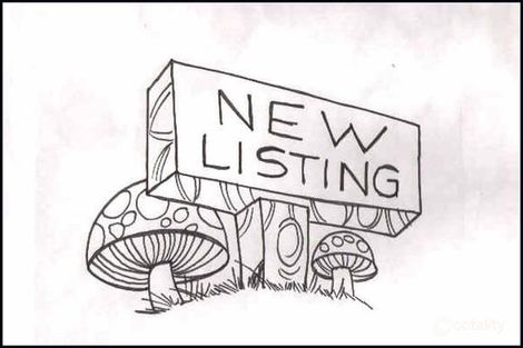 75 Kindlebark Dr, Medowie, NSW 2318