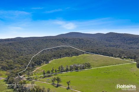 1/233 Ferndale Rd, Bicheno, TAS 7215