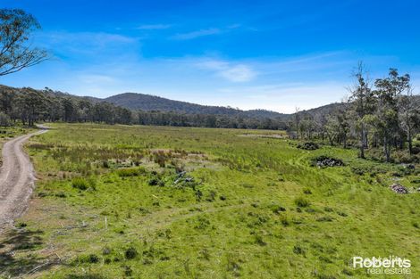 Property photo of 1/233 Ferndale Road Bicheno TAS 7215