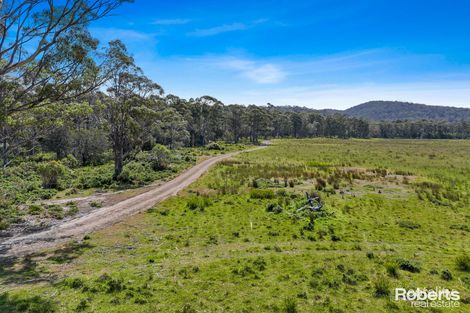 Property photo of 1/233 Ferndale Road Bicheno TAS 7215