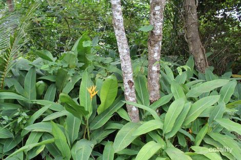 Property photo of 44 Taggart Road Shell Pocket QLD 4855