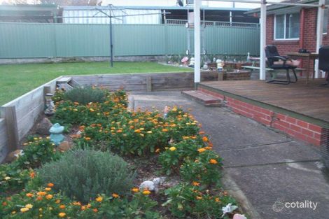 Property photo of 3 De Vis Place Page ACT 2614