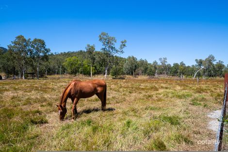 Property photo of 717 Dingo Beach Road Gregory River QLD 4800