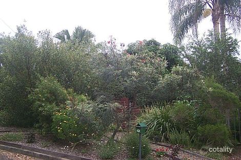 20 Casuarina Ave, Bellingen, NSW 2454