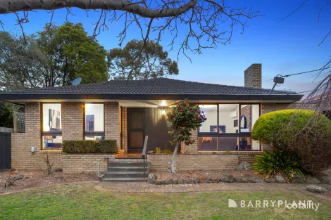 Property photo of 43 Shetland Drive Wantirna VIC 3152