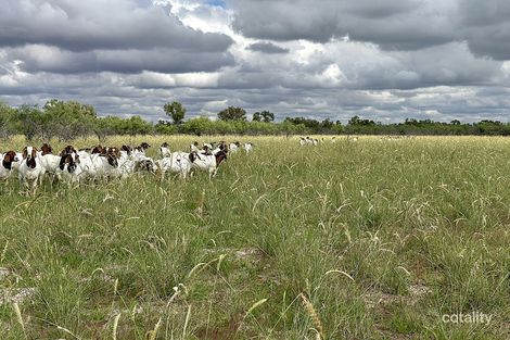 Lot 16 Braeside Rd, Barcaldine, QLD 4725