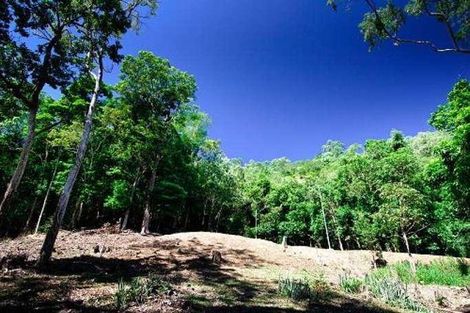 9 Michael Dwyer Cl, Stratford, QLD 4870