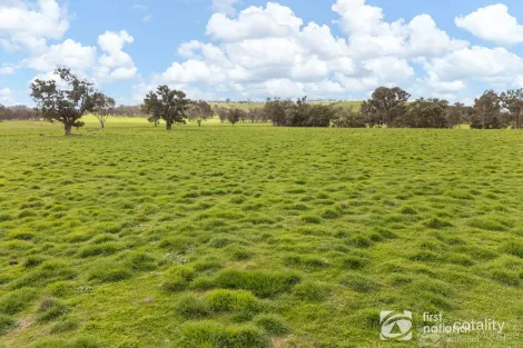Property photo of 294 Wollar Road Budgee Budgee NSW 2850