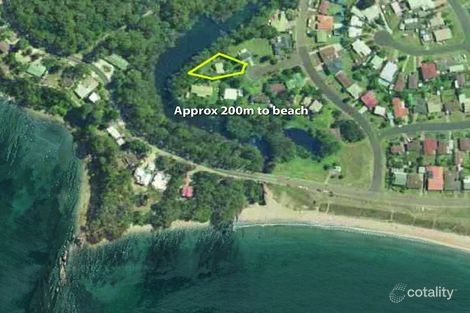 Property photo of 7 Pendula Place Maloneys Beach NSW 2536