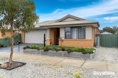Property photo of 12 Loriini Place Kangaroo Flat VIC 3555
