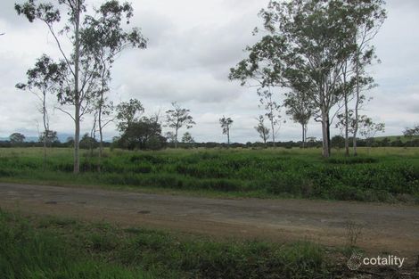 550 Mount Larcom-Bracewell Rd, Machine Creek, QLD 4695