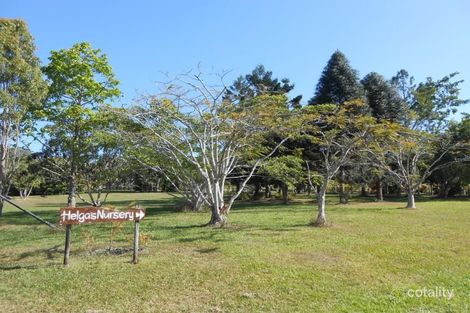 Property photo of 9 Meadow Road Julatten QLD 4871