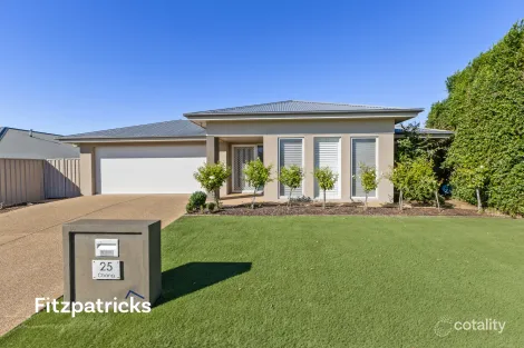 Property photo of 25 Chang Avenue Lloyd NSW 2650