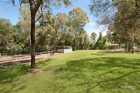 Property photo of 59 Crane Crescent Nerang QLD 4211