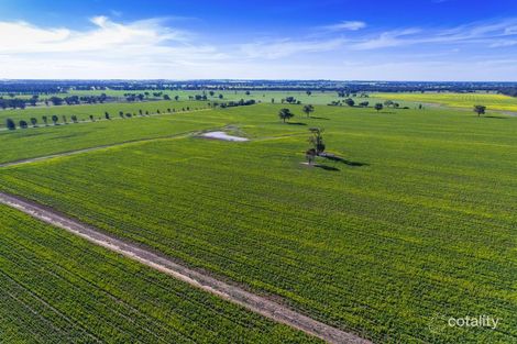 633 Henty Ryan Rd, Ryan, NSW 2658