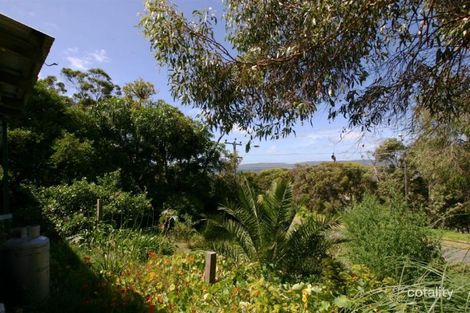 Property photo of 19 Carlisle Street Mount Melville WA 6330