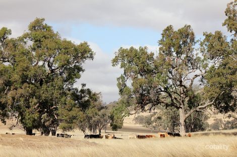 483 A'Becketts Rd, Tambar Springs, NSW 2381