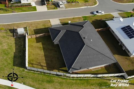 Property photo of 31 Beilby Crescent Pimpama QLD 4209