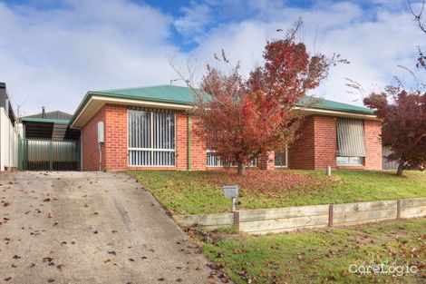 Property photo of 49 Nightingale Avenue West Wodonga VIC 3690
