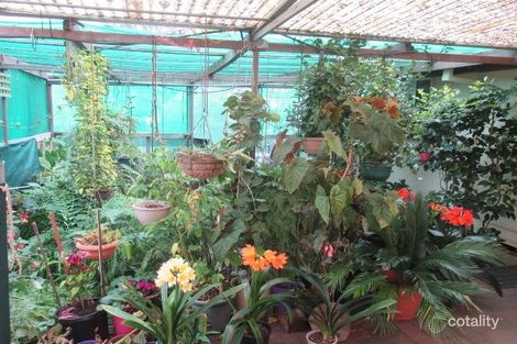 Property photo of 24 Chipper Street Katanning WA 6317