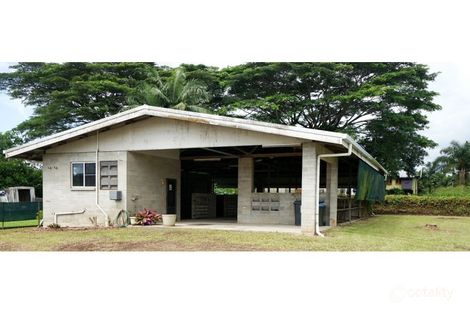 Property photo of 5 Tulip Street Goondi Hill QLD 4860