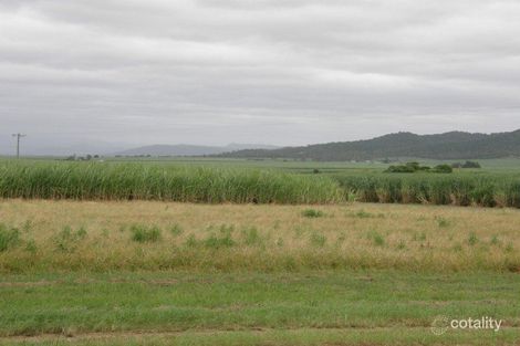 Property photo of 3 Peak Downs Highway Walkerston QLD 4751