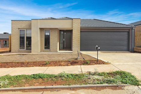 Property photo of 16 Grassdart Street Tarneit VIC 3029