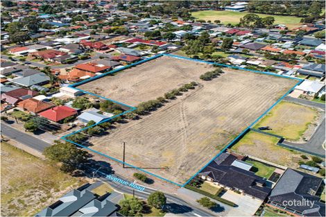 Property photo of 43 Avenue Road Paradise SA 5075