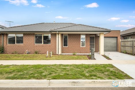 Property photo of 42 Jacana Way Armstrong Creek VIC 3217