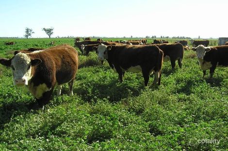 11105 Kamilaroi Hwy, Gunnedah, NSW 2380