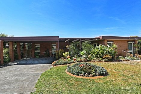 Property photo of 13 Fernhill Drive Highton VIC 3216