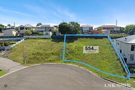 Property photo of 20 Hingston Close Lake Heights NSW 2502