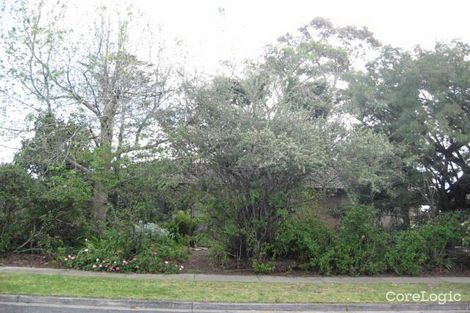 Property photo of 11 Enngonia Crescent Clayton South VIC 3169