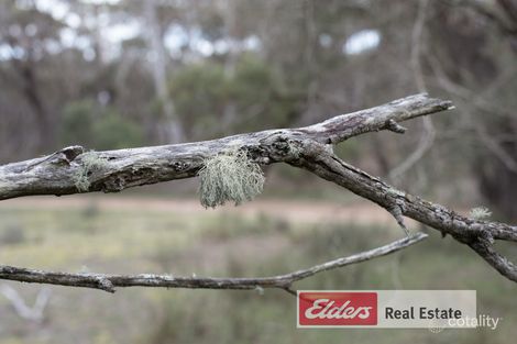 Property photo of 8358 Borden Bremer Bay Road Bremer Bay WA 6338