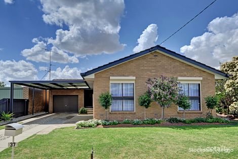 Property photo of 37 Batman Avenue Shepparton VIC 3630