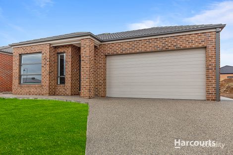 Property photo of 124 Claret Ash Boulevard Harkness VIC 3337
