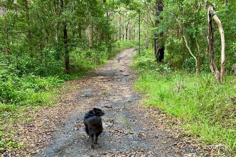 Property photo of 35 Cove Boulevard North Arm Cove NSW 2324