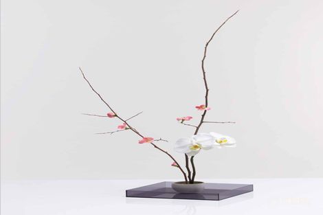 Property photo of 707/150 Dudley Street West Melbourne VIC 3003