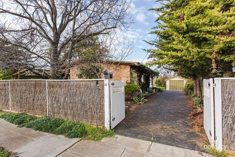 22 Pine Ave, Novar Gardens, SA 5040