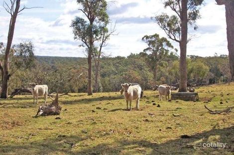 Property photo of 210 Braddocks Road Werombi NSW 2570