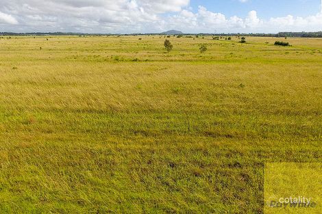 Property photo of 27 Godfreys Avenue Bli Bli QLD 4560