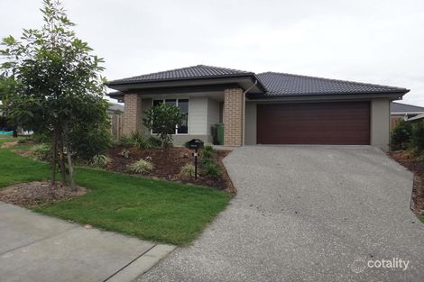 19 Santa Clara Rise, Upper Coomera, QLD 4209