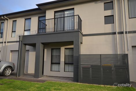 Property photo of 54 Cedar Avenue Warradale SA 5046