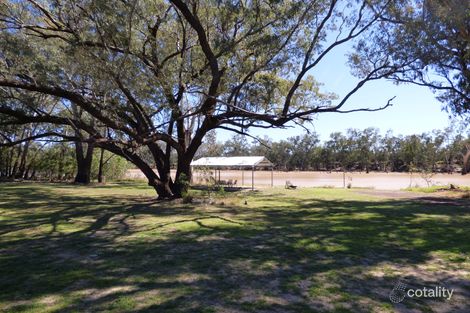 Property photo of 12309 Carnarvon Highway St George QLD 4487