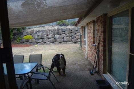 Property photo of 43 Tipuana Drive Elanora QLD 4221