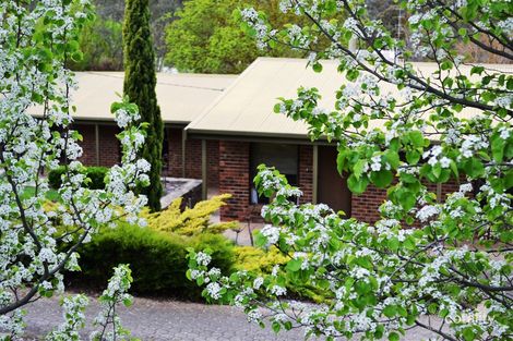 3 Beare St, Clare, SA 5453