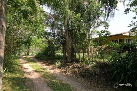 Property photo of 290 Perwillowen Road Perwillowen QLD 4560