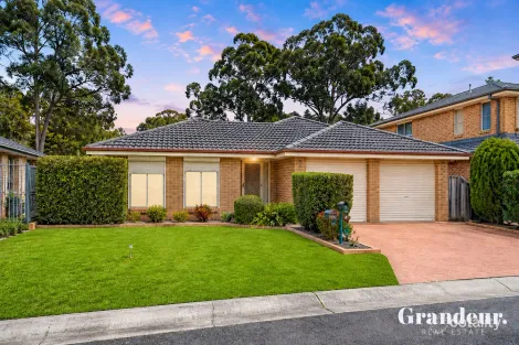 Property photo of 5 Ida Place Cecil Hills NSW 2171